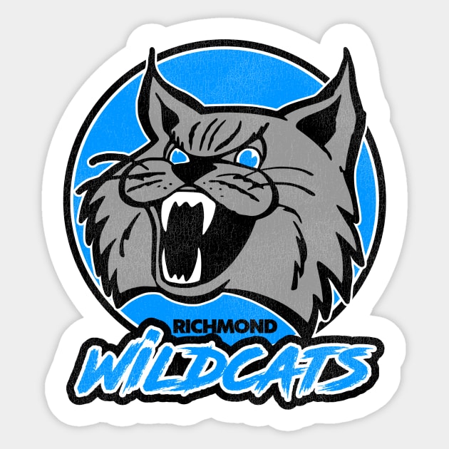 Defunct Richmond Wildcats Hockey Team Sticker by Defunctland